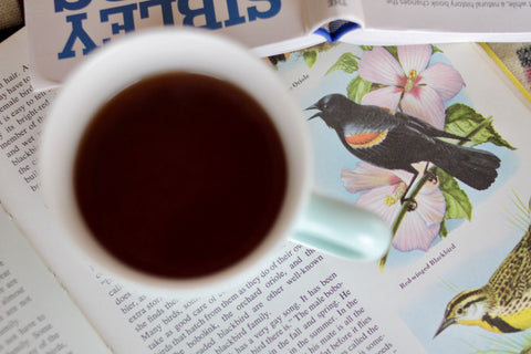 Birdsong Black tea from Lake Missoula Tea Company, featuring a dark, rich brew in a teacup with bird illustrations on the packaging.