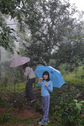 Fresh green Puerh tea leaves from Lake Missoula Tea Company, displayed in a natural setting with vibrant green foliage.