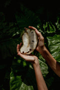 Green tropical fruit tea by Lake Missoula Tea Company featuring soursop and fresh fruit ingredients in a clear glass cup.