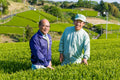 Japanese Hoji Cha tea from Lake Missoula Tea Company shown in a clear image of dried roasted green tea leaves.