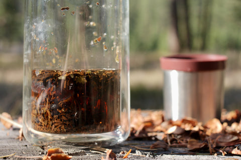 Lake Missoula Tea Company Honey Ponderosa tea in a teacup, with honey and pinecones, showcasing a cozy fall woodland setting.