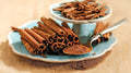 Cinnamon Chaga tea in a cup with cinnamon sticks, showcasing the Lake Missoula Tea Company product with cinnamon and tea leaves.