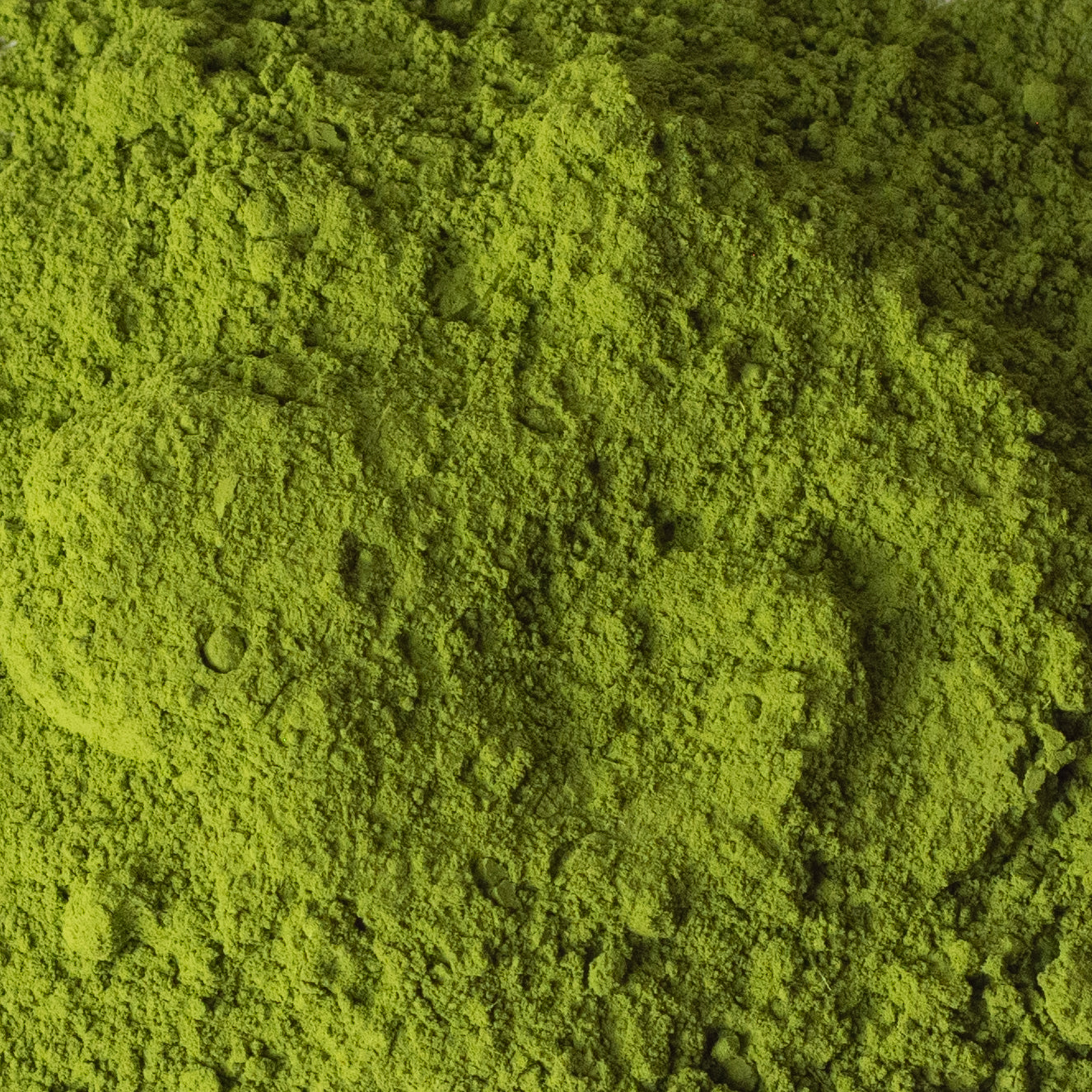 Mammoth Matcha – Lake Missoula Tea Company