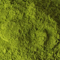 Fine green powder of Mammoth Matcha tea from Lake Missoula Tea Company, shown in a close-up image highlighting its vibrant texture.