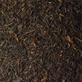 Close-up of Birdsong Black tea leaves showing rich texture and dark, twisted leaves from Lake Missoula Tea Company.