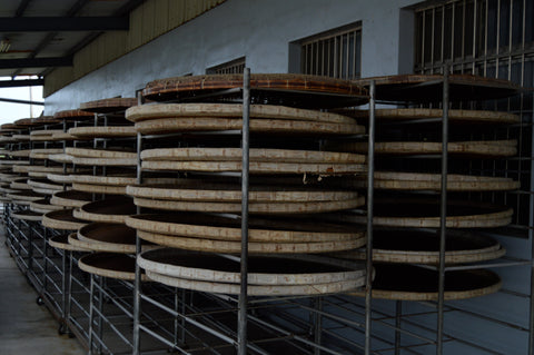 Drying racks with fresh jasmine green tea leaves from Lake Missoula Tea Company, showcasing tea drying process.