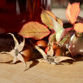 Fall Rosehip Tea by Lake Missoula Tea Company, featuring dried rosehips in a rustic wooden background.