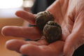 Flowering tea named Double Happiness from Lake Missoula Tea Company, featuring a blooming tea ball in a clear glass cup.