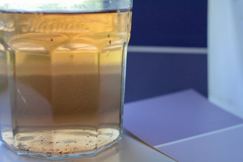 Dried ginkgo leaf tea from Lake Missoula Tea Company, showcasing whole, natural ginkgo leaves in a tea product.