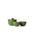 Green Eastern Elm Clay Travel Gaiwan Set with matching cups and lid, used for brewing fine Chinese tea, by Lake Missoula Tea Company.
