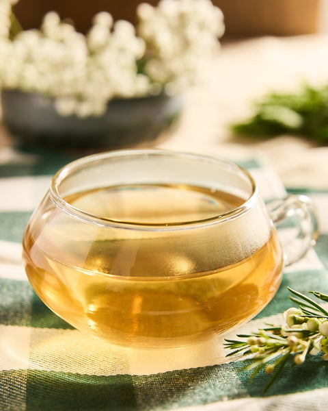 Glass cup of brewed Mountain Winter Berry tea on a green plaid cloth with white flowers behind