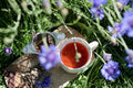 Sun-Kissed Huckleberry tea from Lake Missoula Tea Company, featuring a vibrant summer picnic scene with huckleberries and cornflowers.