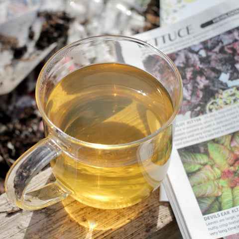 Fresh nettle tea from Lake Missoula Tea Company, showing dried nettle leaves in a rustic tea packaging.