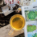 Fresh spearmint tea leaves from Lake Missoula Tea Company, shown in a lush garden setting with vibrant green foliage.
