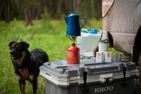 Instant Chai tea from Lake Missoula Tea Company, served in a camping setting with golden milk and outdoor scene.