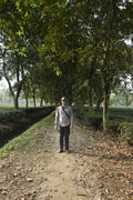 Fresh green Darjeeling district tea leaves from Lake Missoula Tea Company, shown on a UK tea farm in the image.
