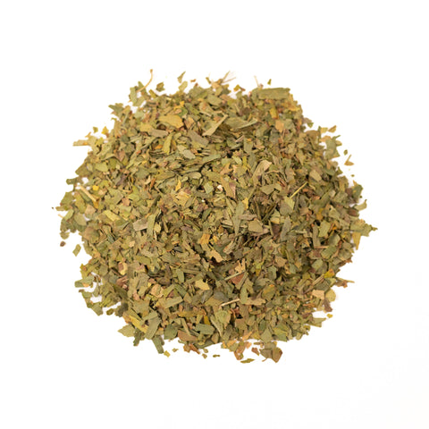 Dried ginkgo leaf tea from Lake Missoula Tea Company, showcasing a single green leaf with detailed veining and natural texture.