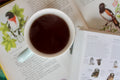 Caldera Mist Chocolate Abyss tea by Lake Missoula Tea Company featuring black bird and bird song imagery.