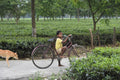 Boy riding a bike outdoors, with a package of Lake Missoula Tea Company's Darjeeling District Green Tea in the background.
