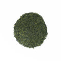 Sencha Fukamushi green tea leaves from Lake Missoula Tea Company in a clear glass jar