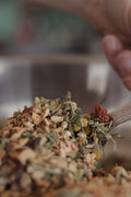 A cup of spicy ginger snap tea from Lake Missoula Tea Company, steaming with fresh ginger and tea leaves in a cozy setting.