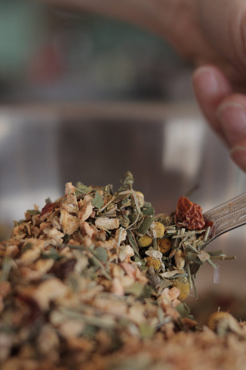 A cup of spicy ginger snap tea from Lake Missoula Tea Company, steaming with fresh ginger and tea leaves in a cozy setting.