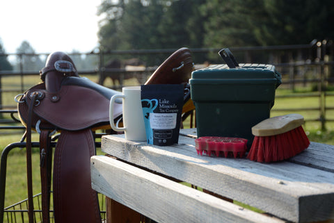 Lake Missoula Tea Company Honey Ponderosa tea in a decorative saddle horse-shaped package.