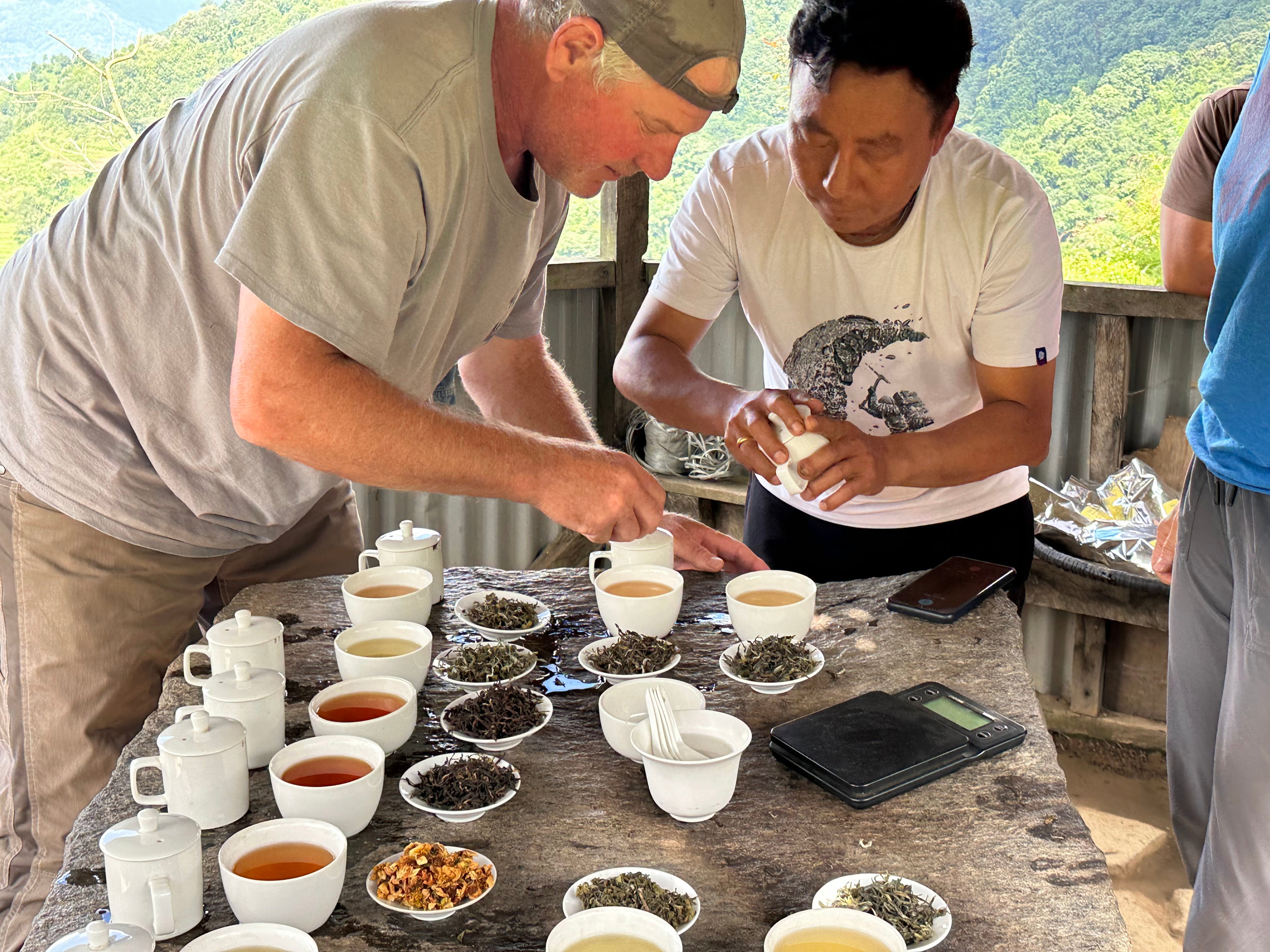 Panda Gold - Rich High Mountain Nepal Tea | Lake Missoula Tea Company