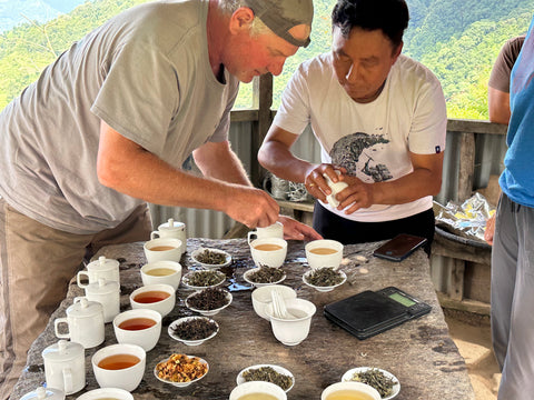 A person tasting Lake Missoula Tea Company's Panda Gold tea, showcasing a tea cup with the golden-hued tea in a cozy setting.
