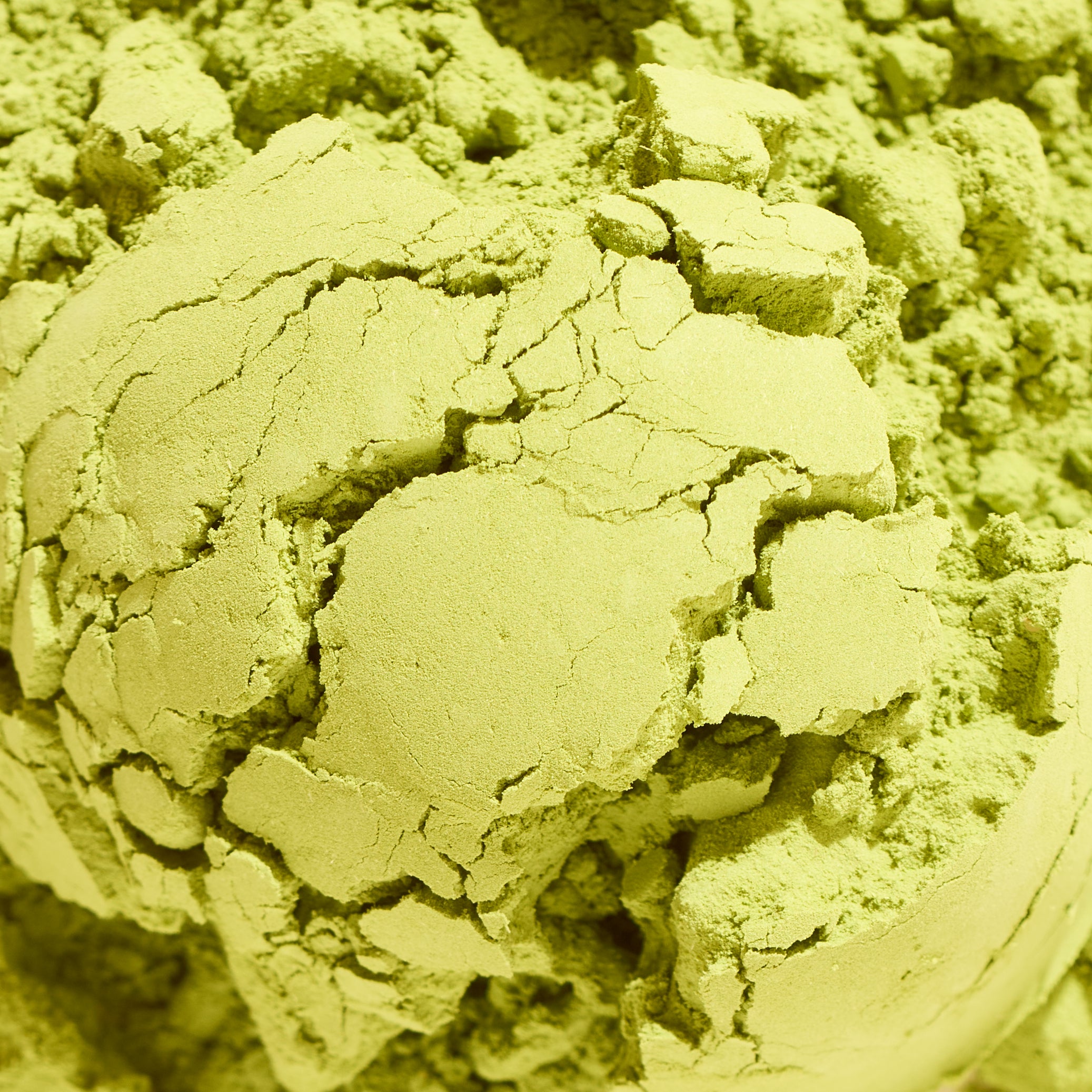 Mammoth Matcha – Lake Missoula Tea Company