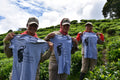 Caldera Mist Chocolate Abyss tea packaging alongside Lake Missoula Tea Company branded T-shirts.