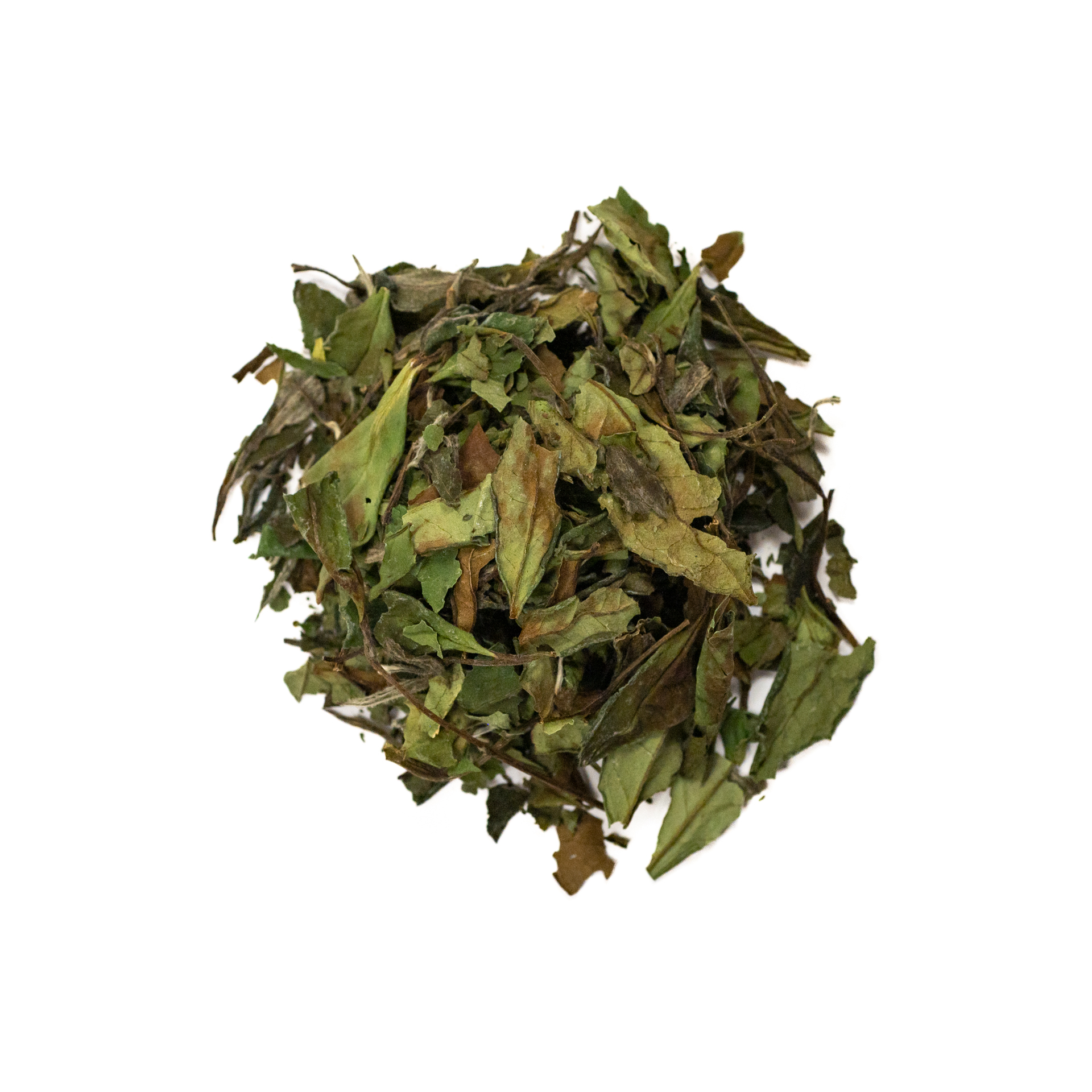 White Peony Pai-mu-tan