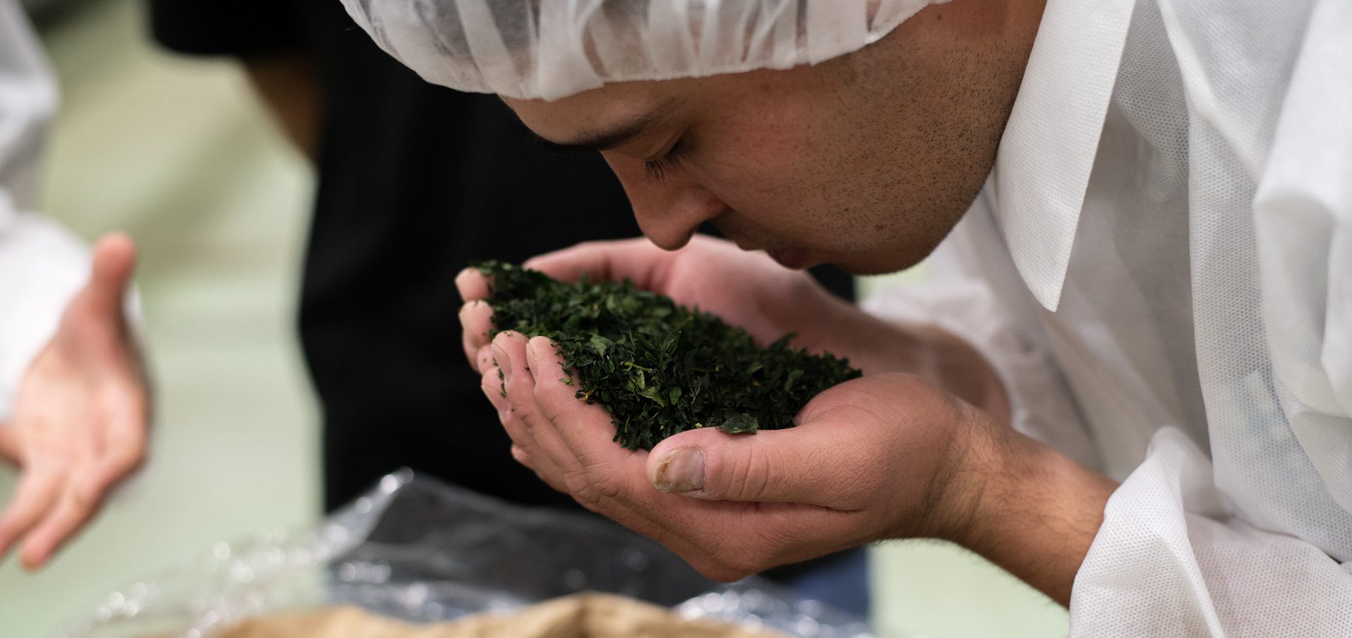 Single Origin Green Tea