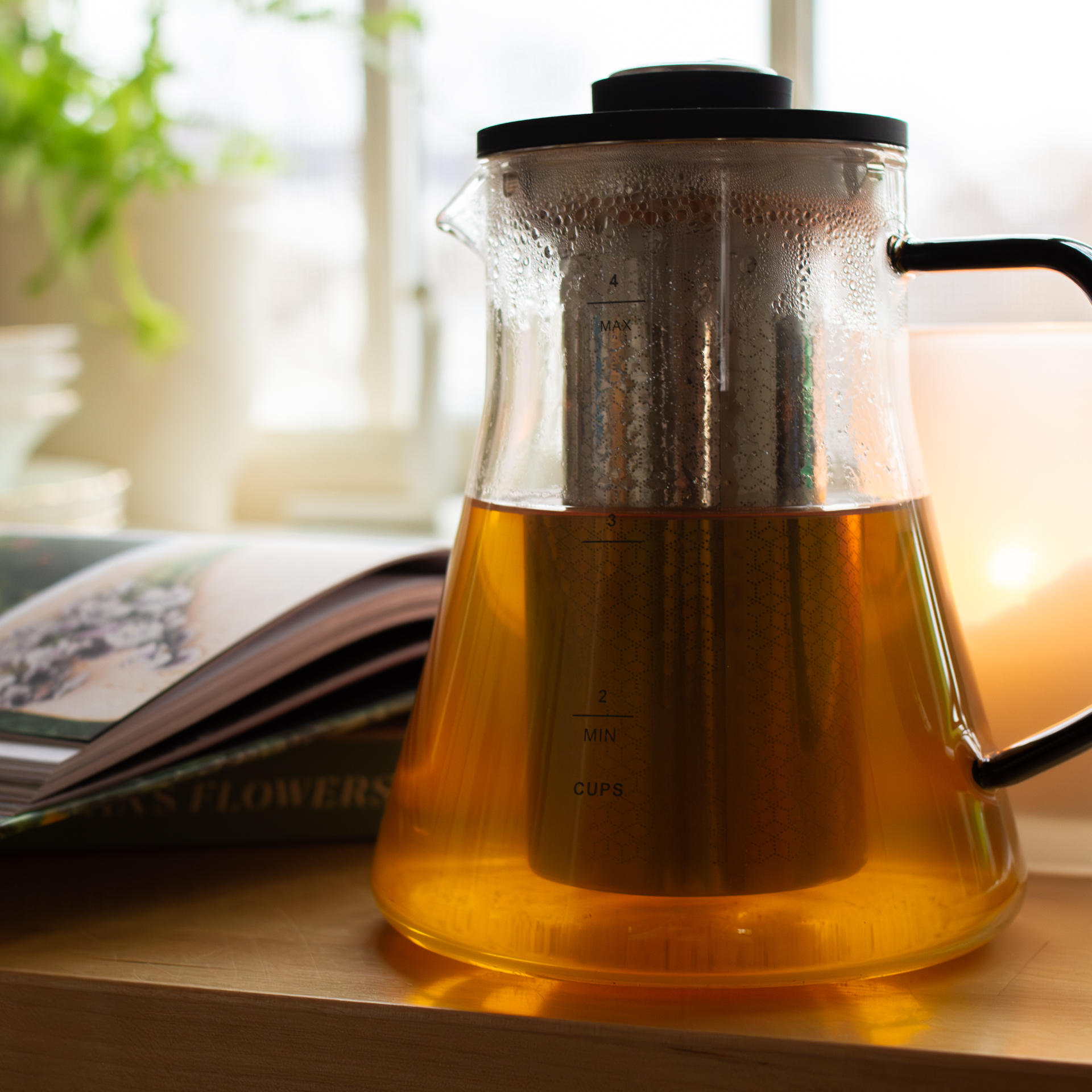 Glass teapot with steeper, heat on stove