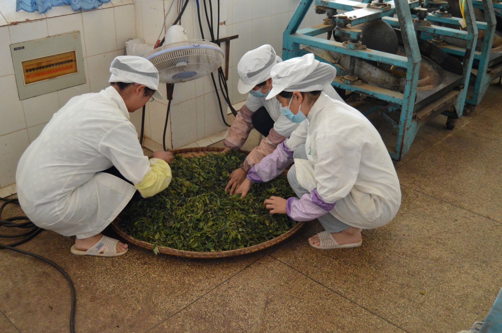 making tea